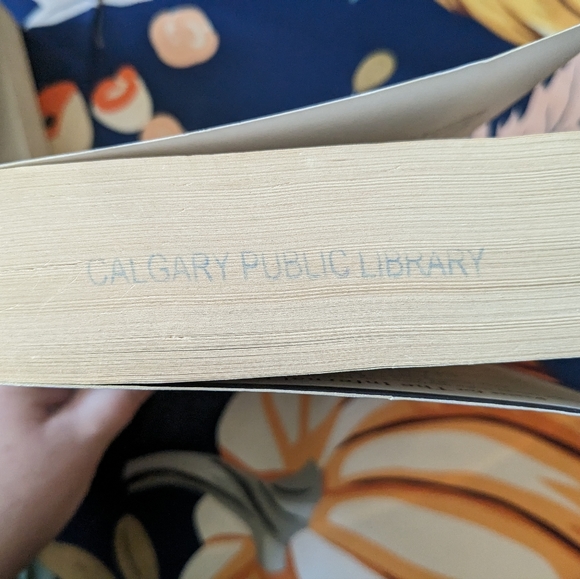 The Shadowhunter Chronicles Lot - City Of Ashes & Clockwork Prince Paperback - Picture 7 of 11